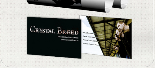 Headshot Berlin Plakat Visitenkarten Crystal Breed